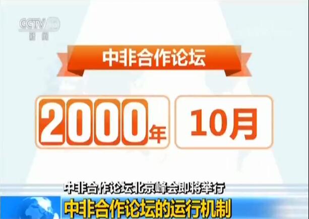 澳门王中王100的资料论坛,力量执行解答解释_订制版97.09