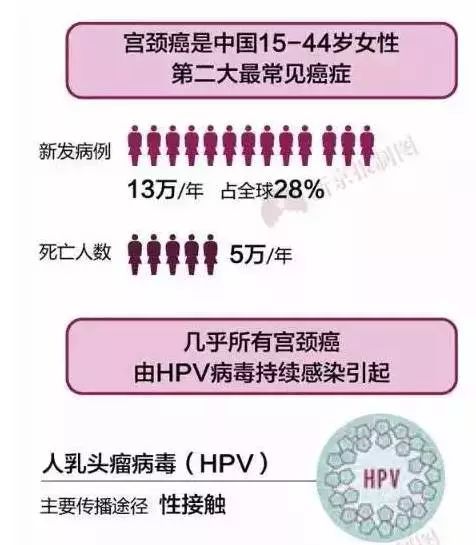 重磅更新，11月3日宫颈癌疫苗知识全解析，女性健康守护必备！