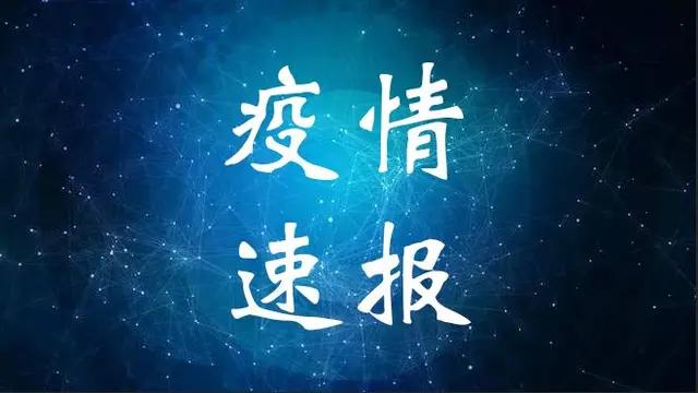 迷雾中的明灯，探究最新肺炎态势与观点争议——11月4日更新