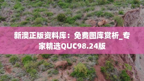 新澳正版资料库：免费图库赏析_专家精选quc98.24版