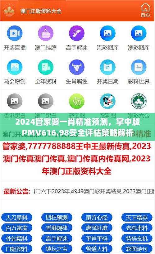 2024管家婆一肖精准预测，掌中版pmv616.98安全评估策略解析