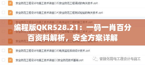 编程版qkr528.21：一码一肖百分百资料解析，安全方案详解