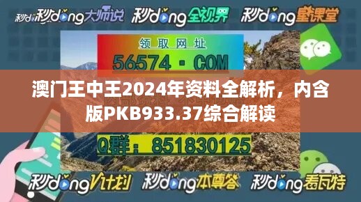 澳门王中王2024年资料全解析，内含版pkb933.37综合解读