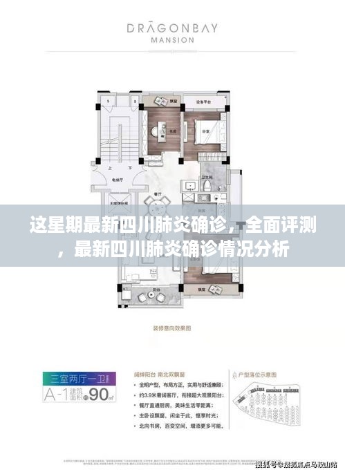 四川肺炎最新确诊情况全面分析与评测报告