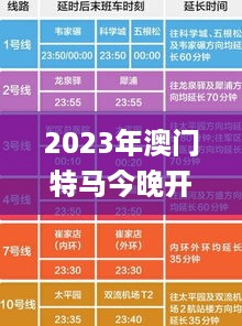 2023年澳门特马今晚开码,专业执行问题_力量版tjv513.58