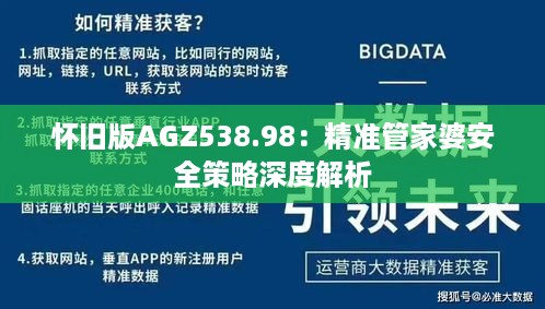 怀旧版agz538.98：精准管家婆安全策略深度解析