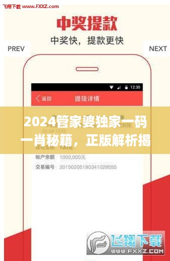 2024管家婆独家一码一肖秘籍，正版解析揭晓_游戏btp977.81版