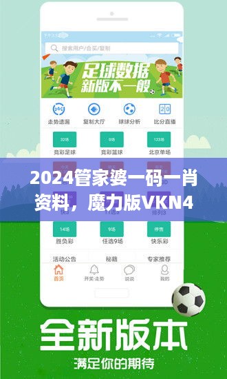 2024管家婆一码一肖资料，魔力版vkn41.32精解推荐