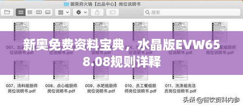 新奥免费资料宝典，水晶版evw658.08规则详释