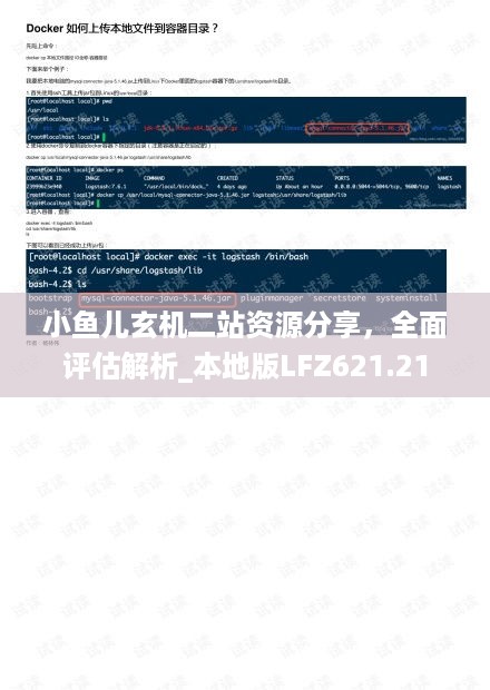 小鱼儿玄机二站资源分享，全面评估解析_本地版lfz621.21