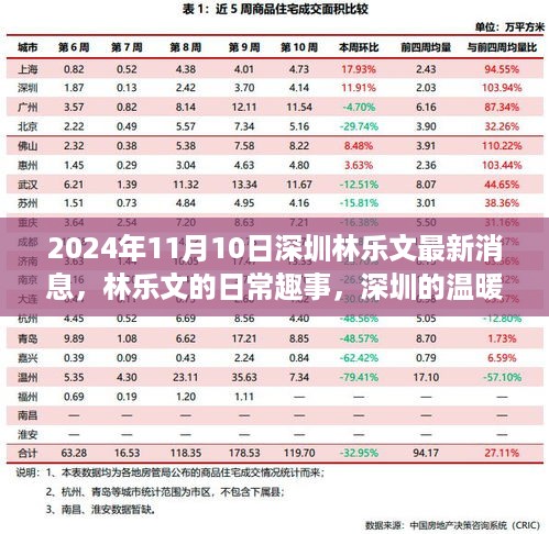 深圳林乐文最新消息与温馨日常趣事，爱与陪伴的温暖瞬间（2024年11月10日更新）