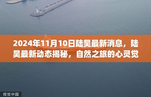 陆昊最新动态揭秘，自然之旅的心灵觉醒与笑声相伴（2024年11月10日最新消息）