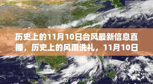 历史上的风雨洗礼，揭秘11月10日台风背后的成长故事与自信之光直播报道最新信息