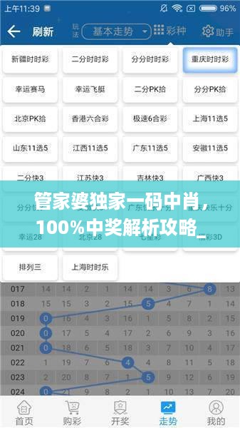 管家婆独家一码中肖，100%中奖解析攻略_创业板msh175.75
