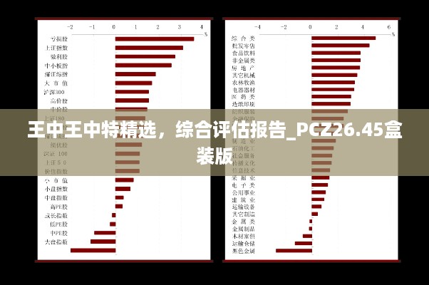 王中王中特精选，综合评估报告_pcz26.45盒装版