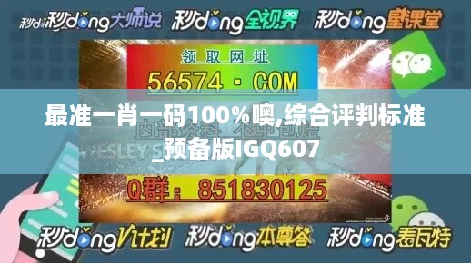 最准一肖一码100%噢,综合评判标准_预备版igq607