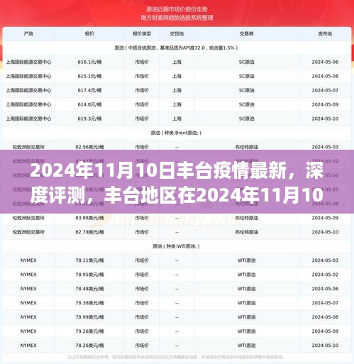 2024年11月10日丰台疫情深度解析，最新状况及分析